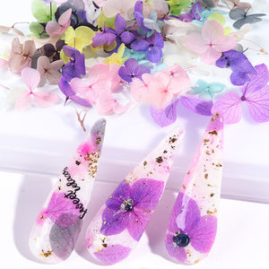 Dried Flowers Nail Decorations